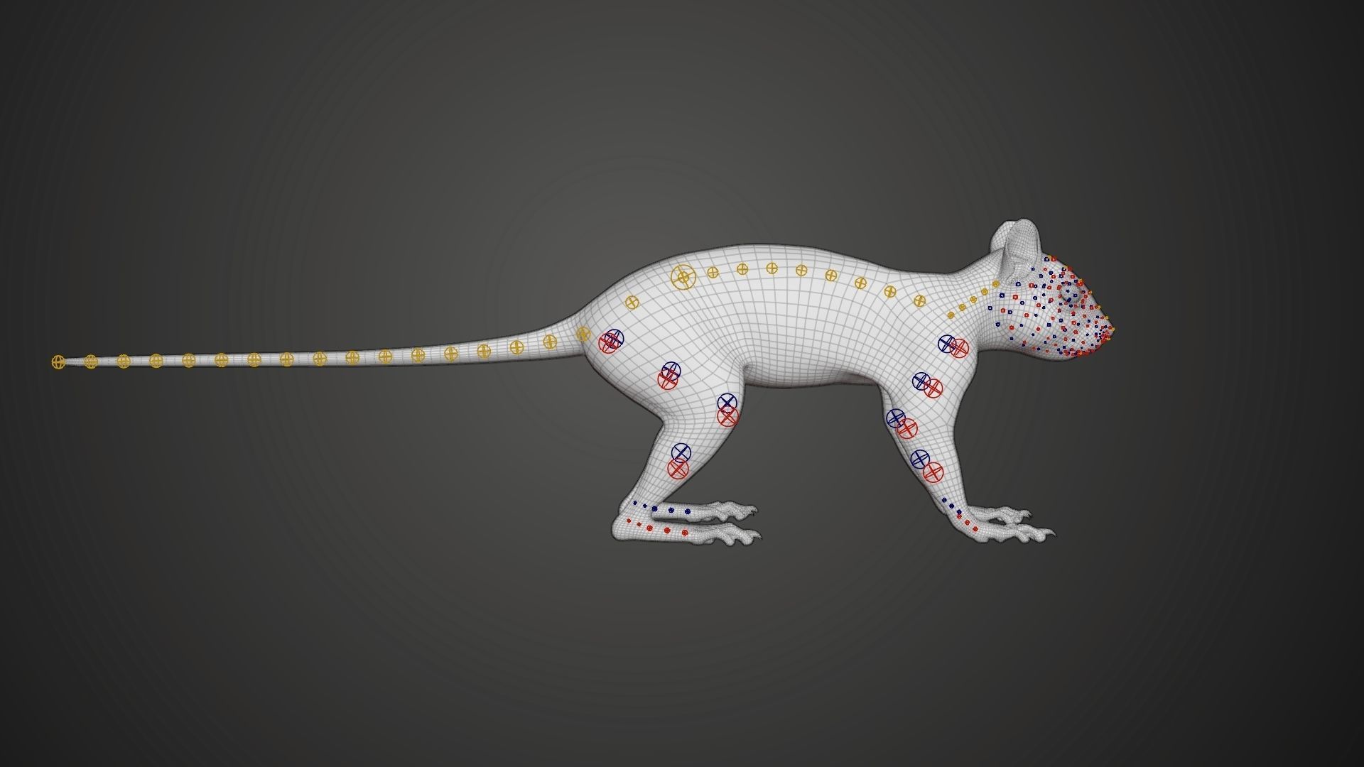 RedSquirrel Winter Animated VFX Grace 3D model_22