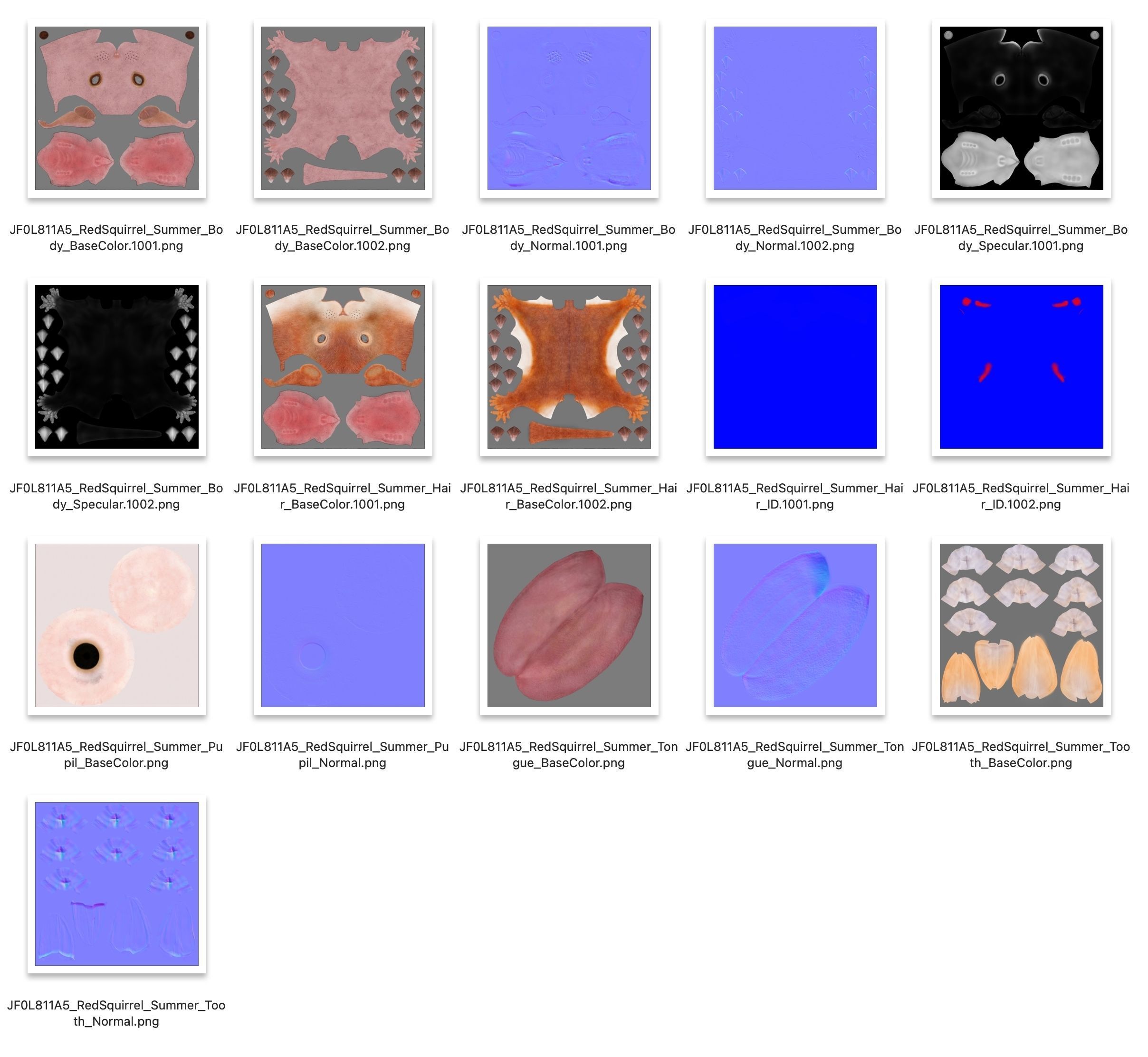 RedSquirrel Winter Animated VFX Grace 3D model_27