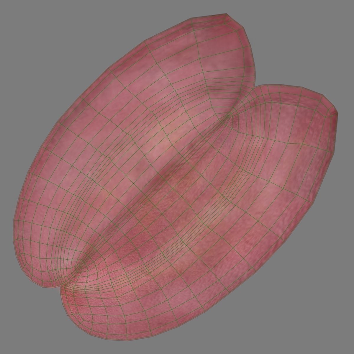 RedSquirrel Winter Animated VFX Grace 3D model_32