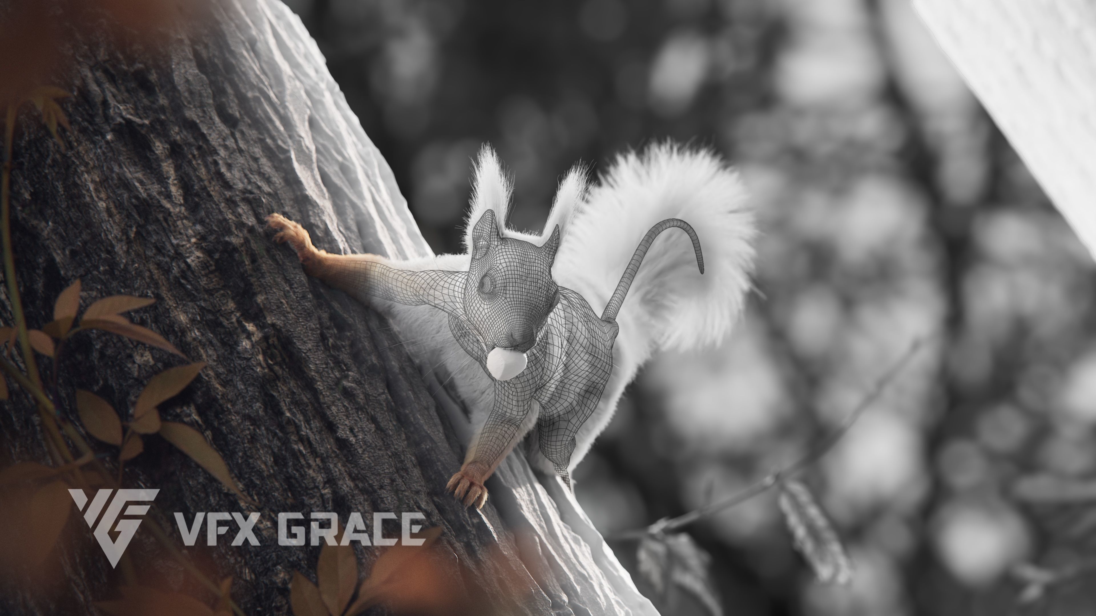 RedSquirrel Winter Animated VFX Grace 3D model_8