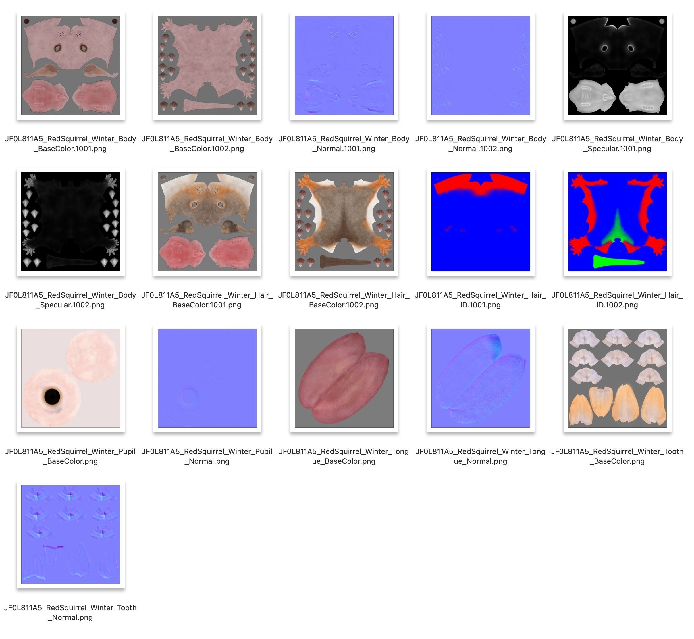 RedSquirrel Winter Animated VFX Grace 3D model_28