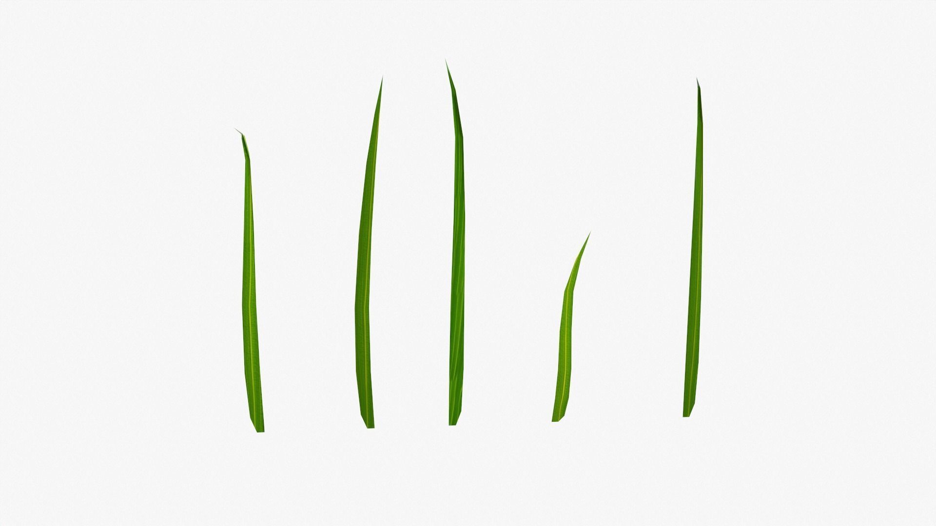 Low Poly Grass Low-poly 3D model_4