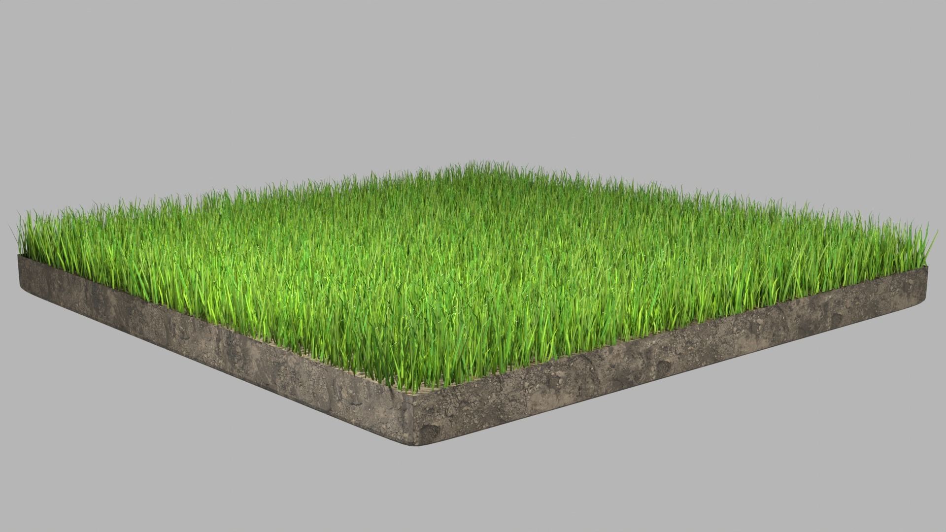 Low Poly Grass Low-poly 3D model_5