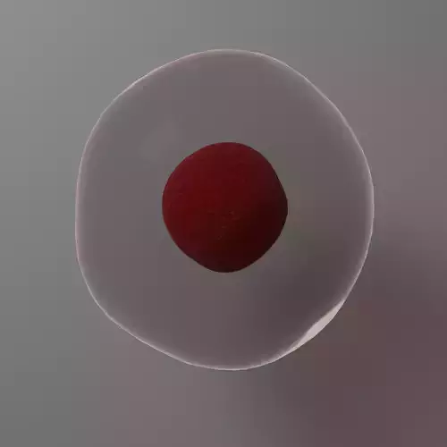 Human Cell Free 3D model