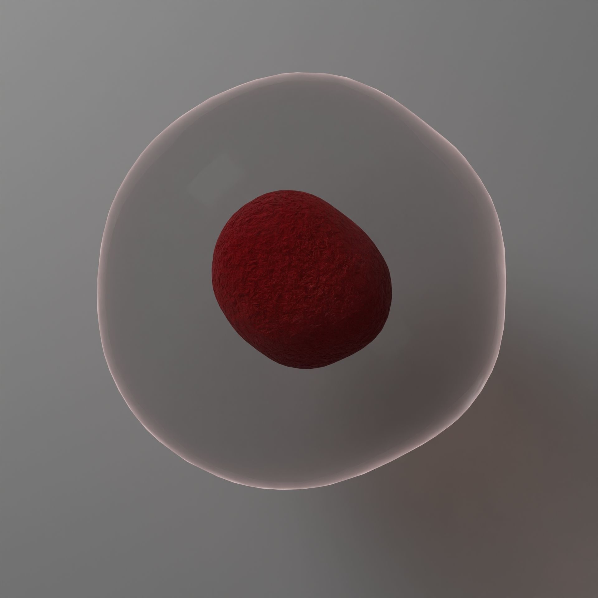 Human Cell Free 3D model_5