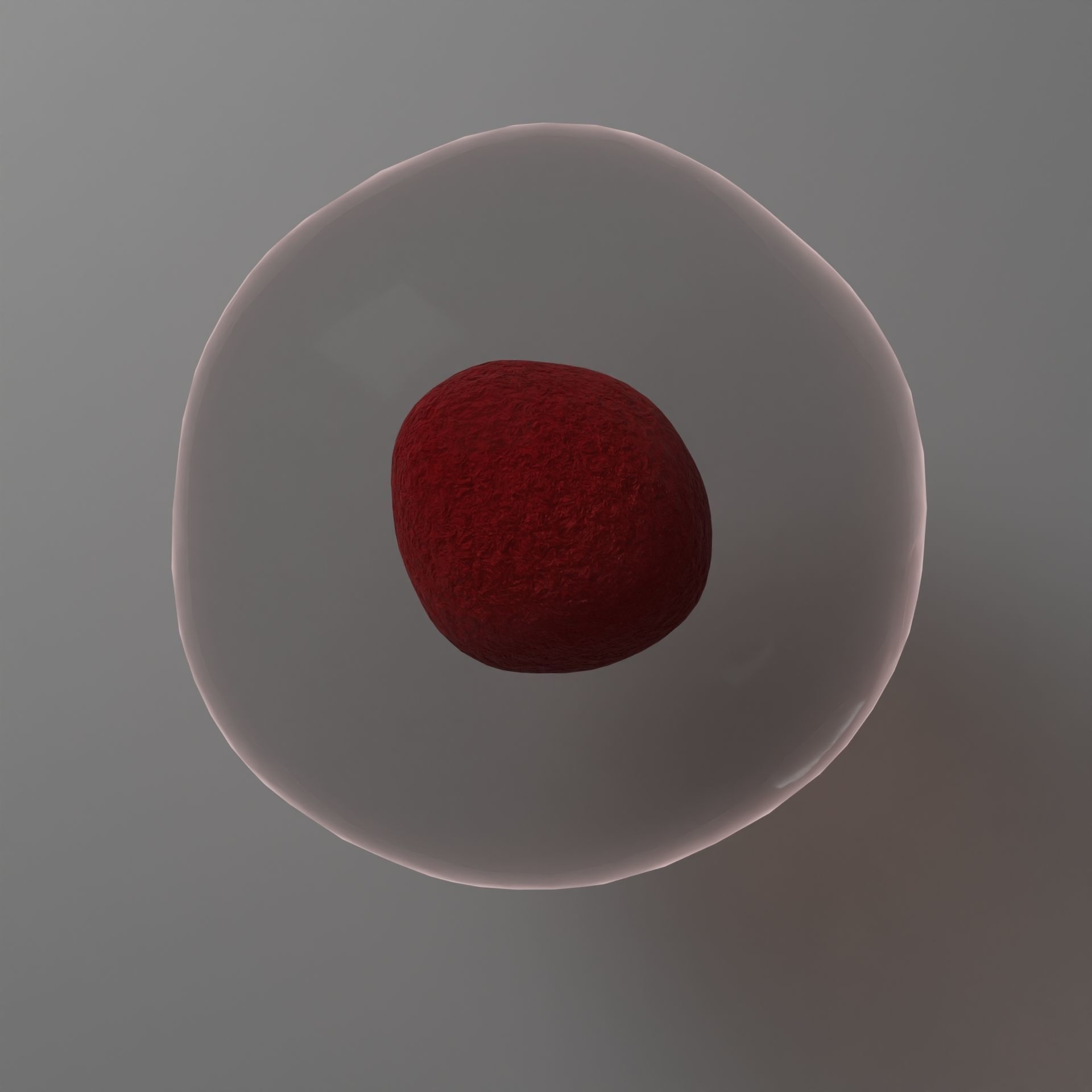 Human Cell Free 3D model_2