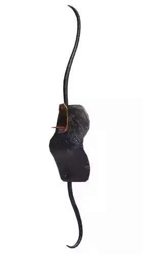 Chinese hook shield Gou Xiang