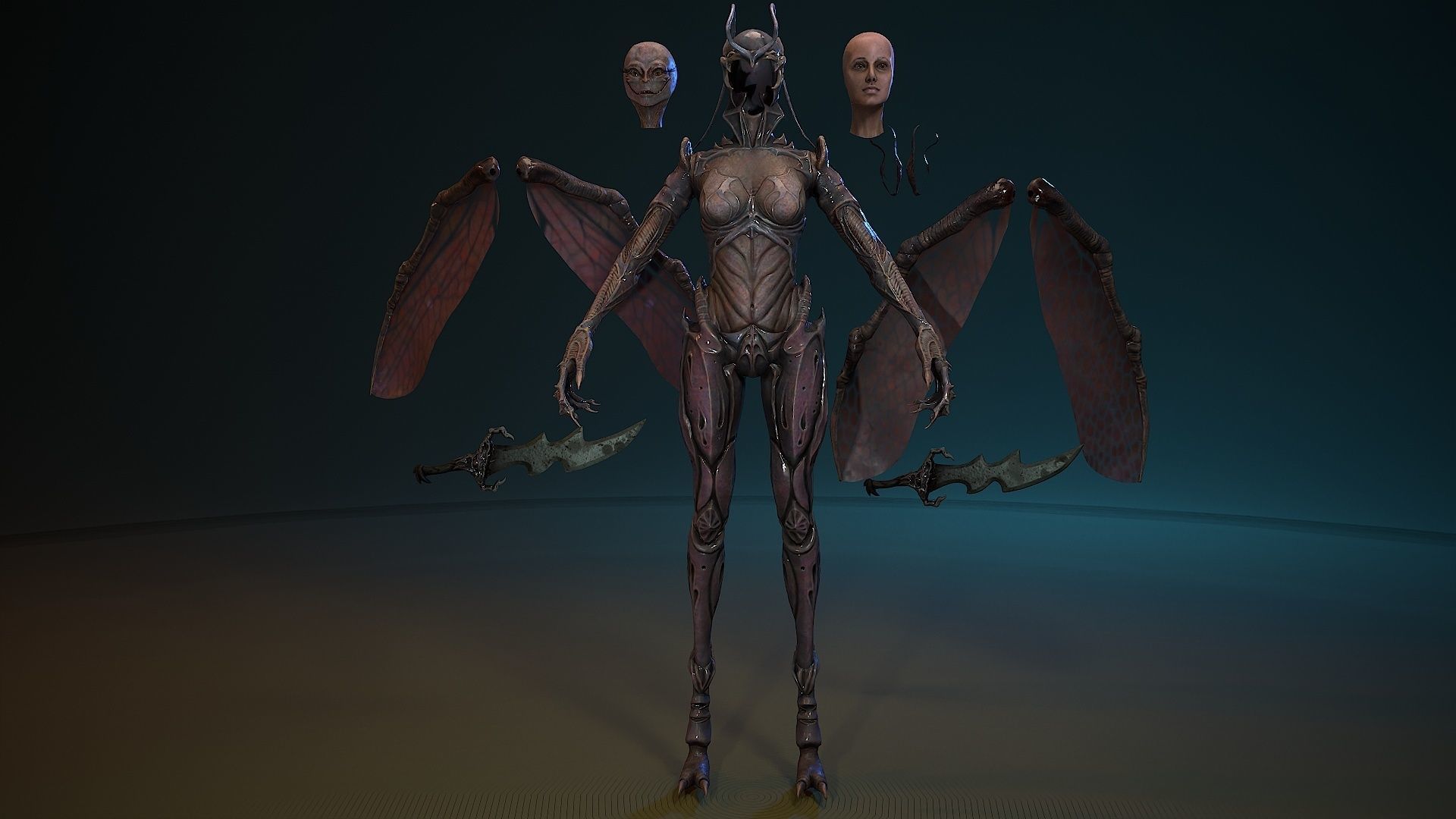 Insect girl Low-poly 3D model_22