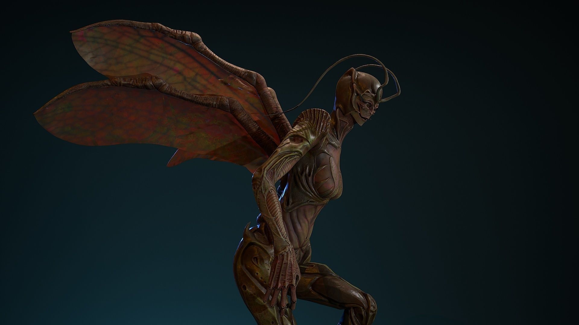 Insect girl Low-poly 3D model_21