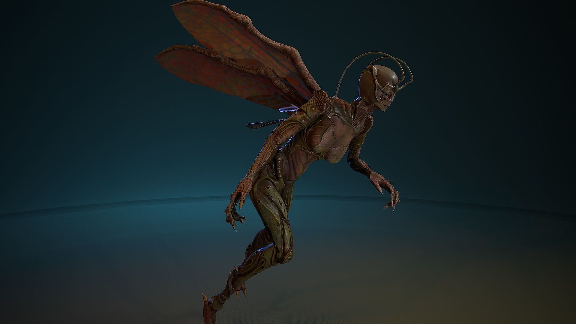 Insect girl Low-poly 3D model_20