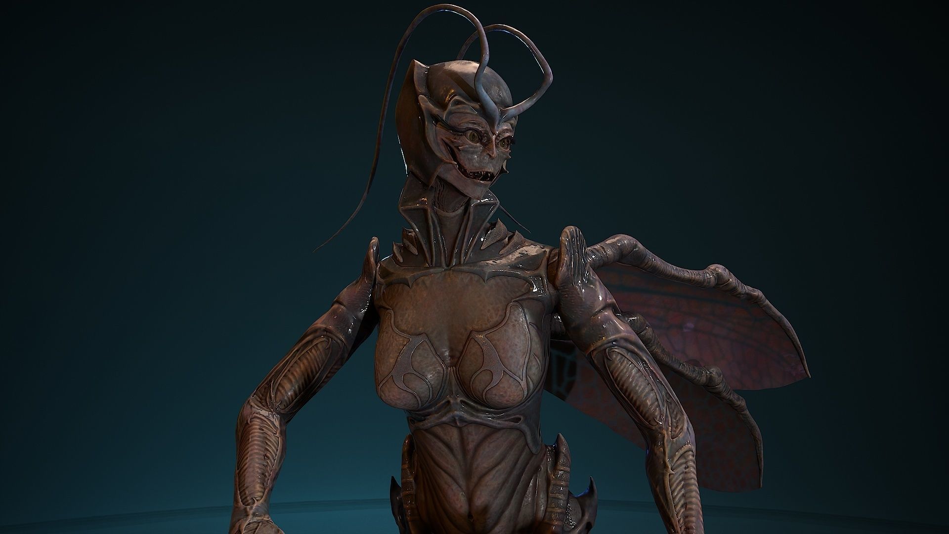 Insect girl Low-poly 3D model_14