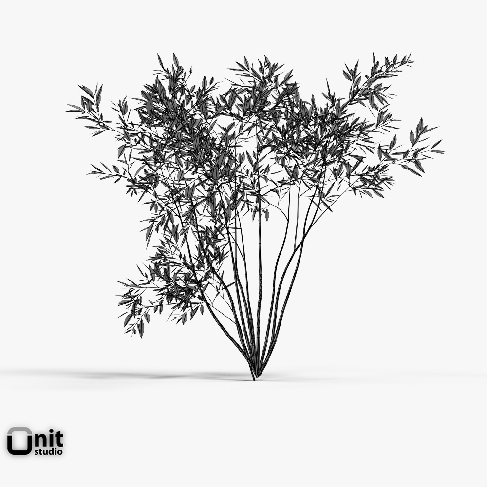 Bushes Collection - Set bamboo plant 3D model_6
