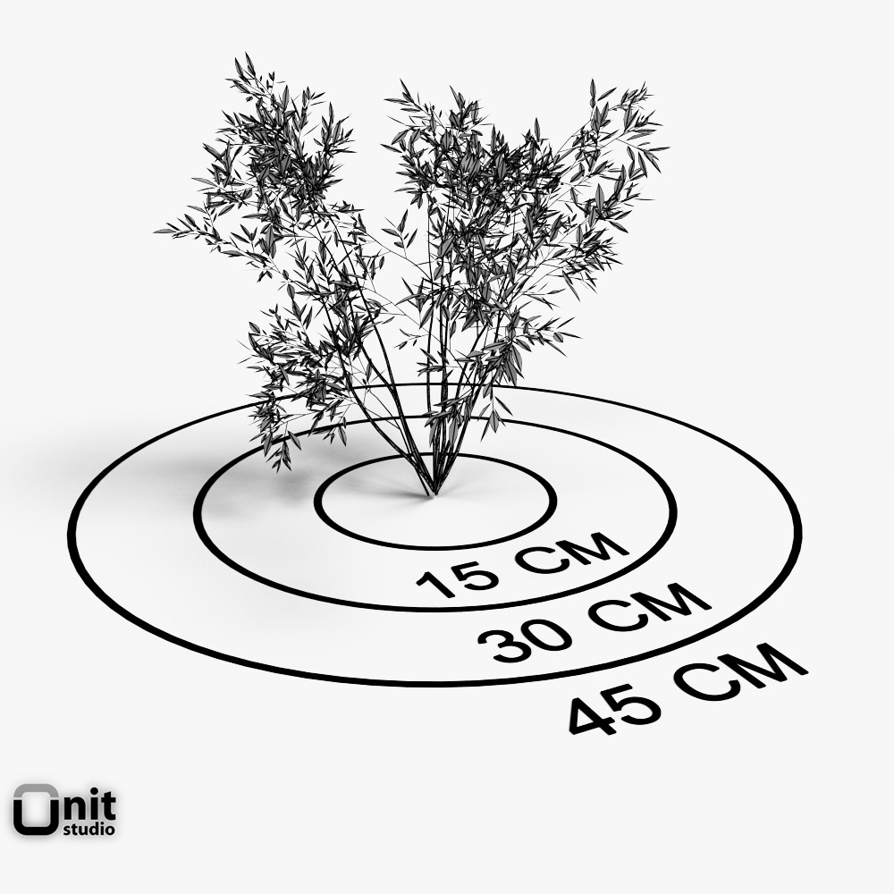 Bushes Collection - Set bamboo plant 3D model_7