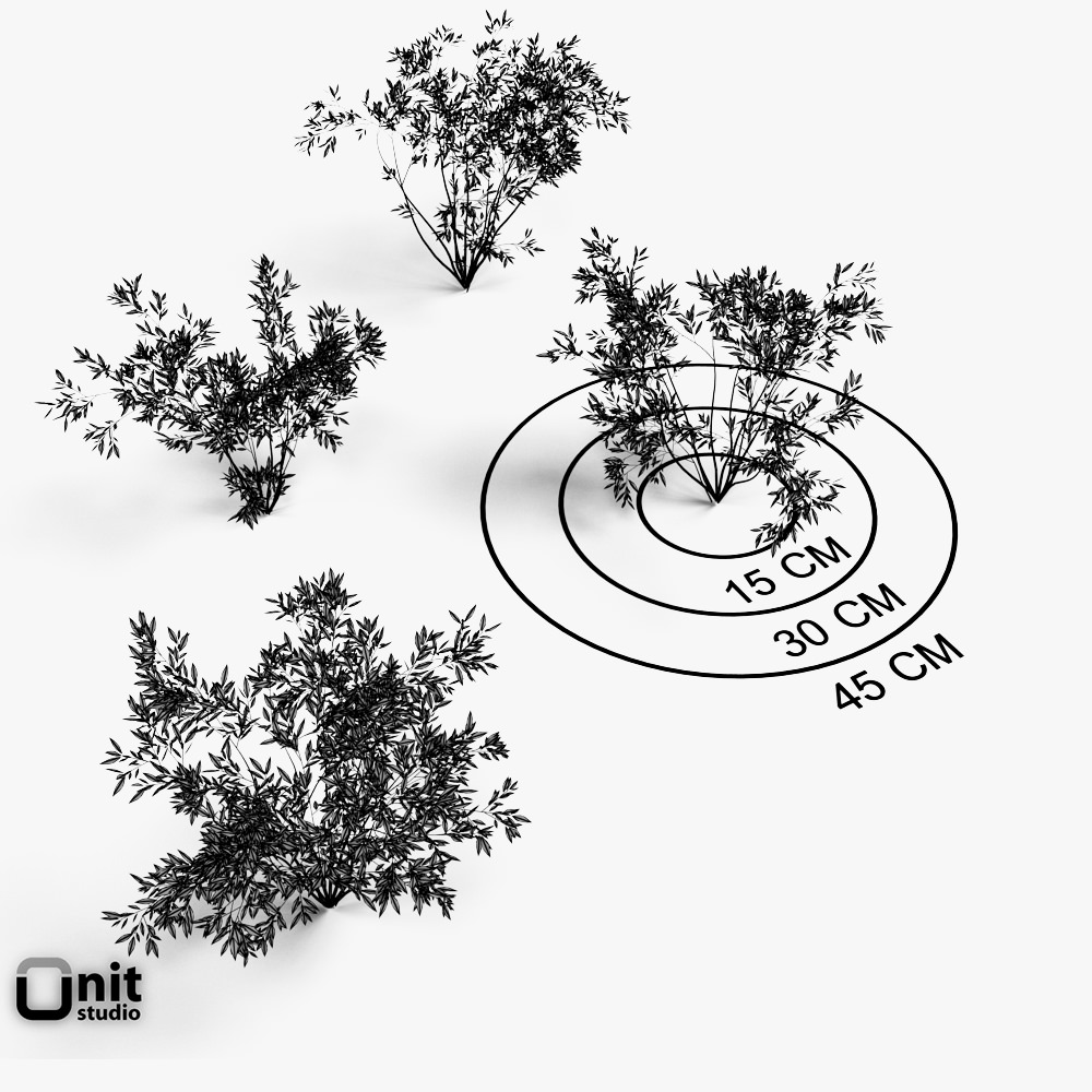 Bushes Collection - Set bamboo plant 3D model_4