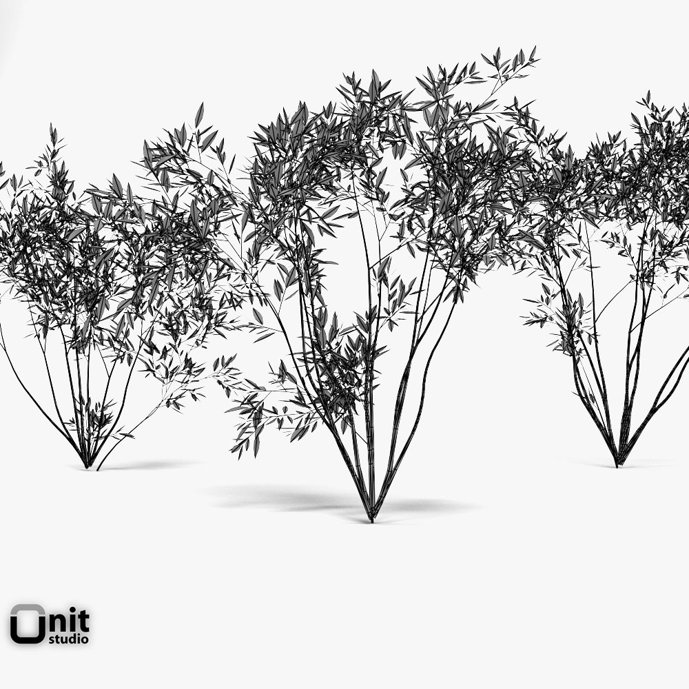 Bushes Collection - Set bamboo plant 3D model_5