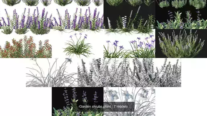 Garden shrubs plant 3D Model Collection
