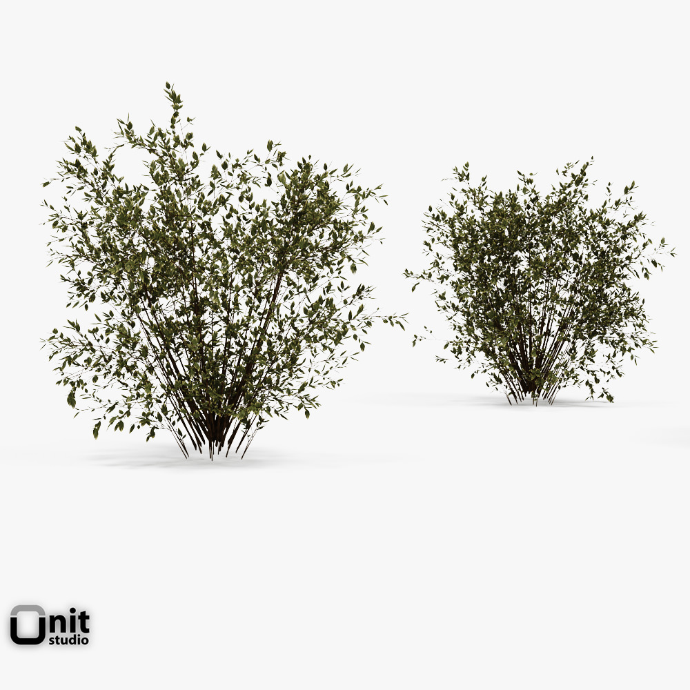 Bushes Collection - Set bush 3D model_1