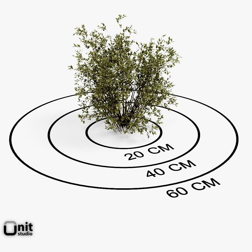 Bushes Collection - Set bush 3D model_3