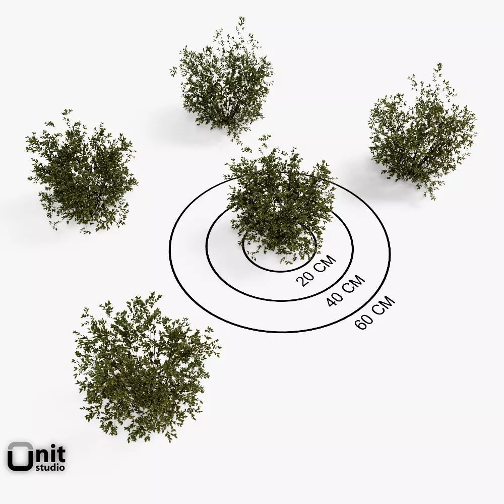 Bushes Collection - Set bush 3D model_0