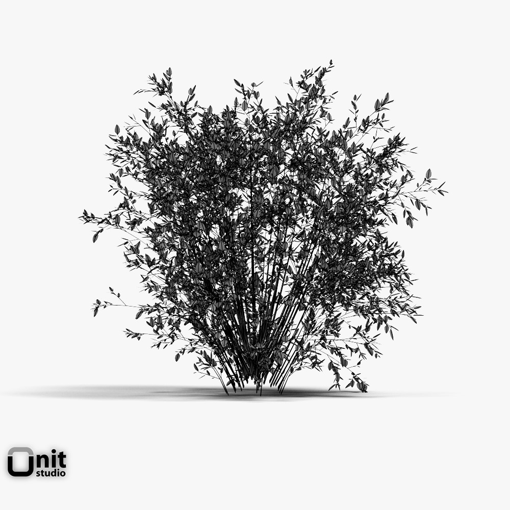 Bushes Collection - Set bush 3D model_6