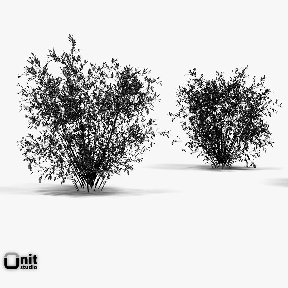 Bushes Collection - Set bush 3D model_5
