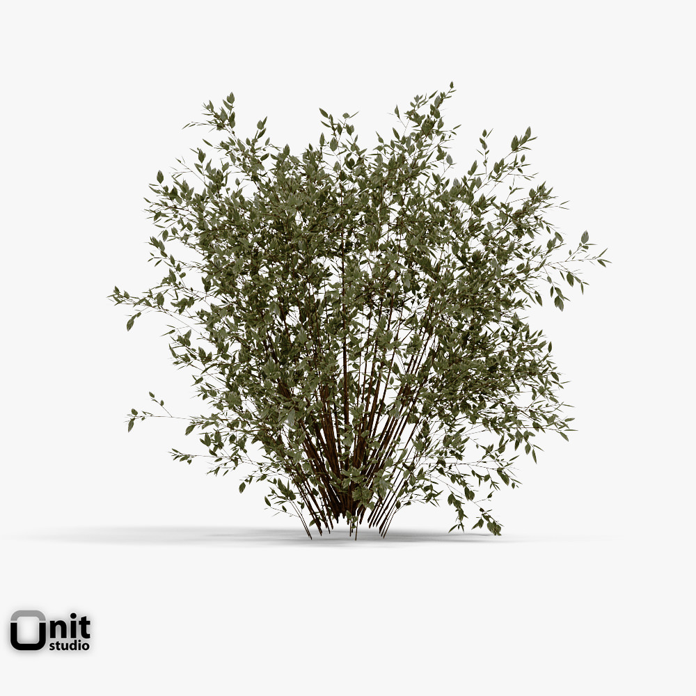 Bushes Collection - Set bush 3D model_2