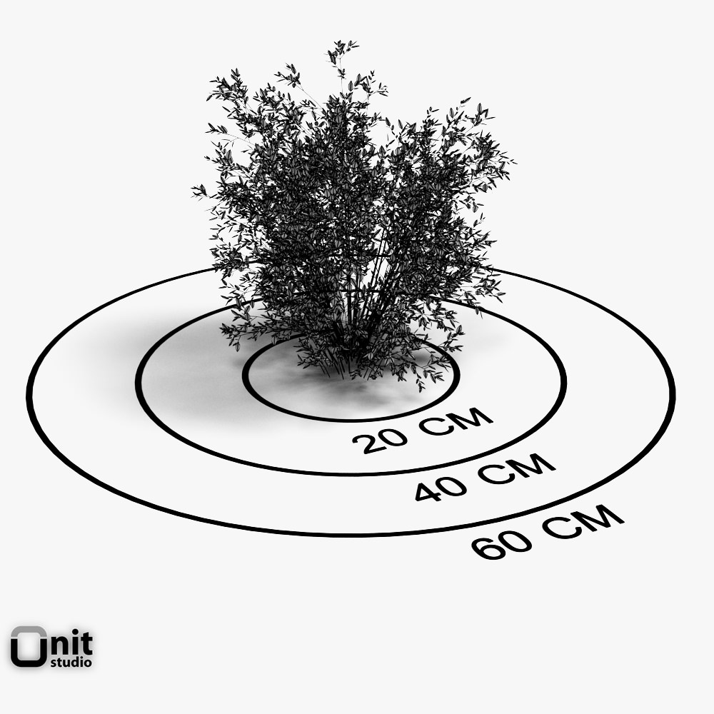 Bushes Collection - Set bush 3D model_7