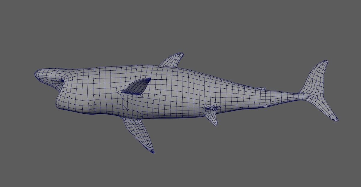 Basking-shark  Low-poly 3D model_5