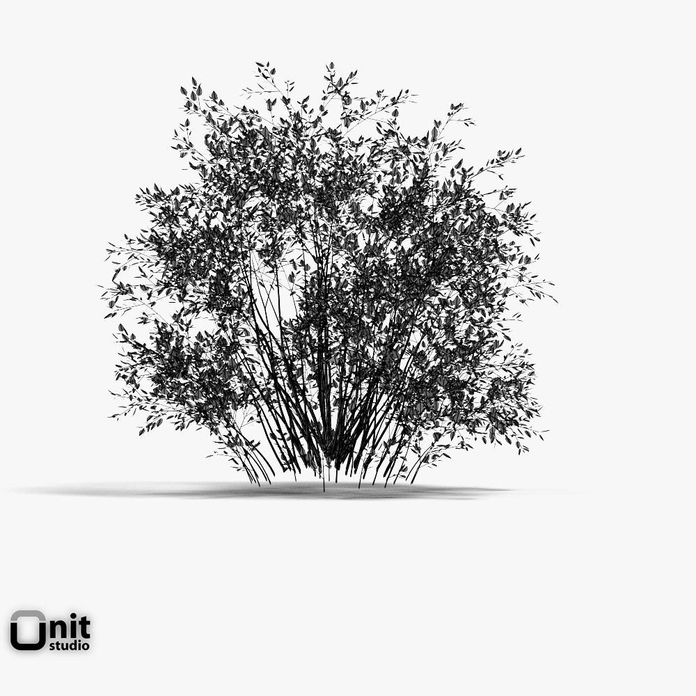 Bushes Collection - Set bush 3D model_6