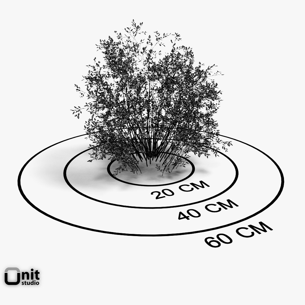 Bushes Collection - Set bush 3D model_7