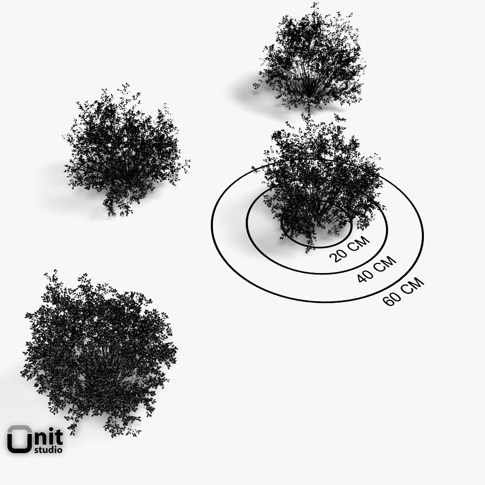 Bushes Collection - Set bush 3D model_4