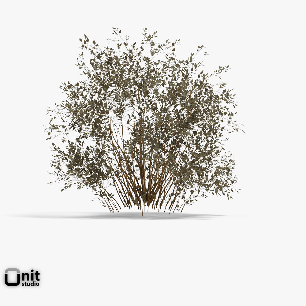 Bushes Collection - Set bush 3D model_2