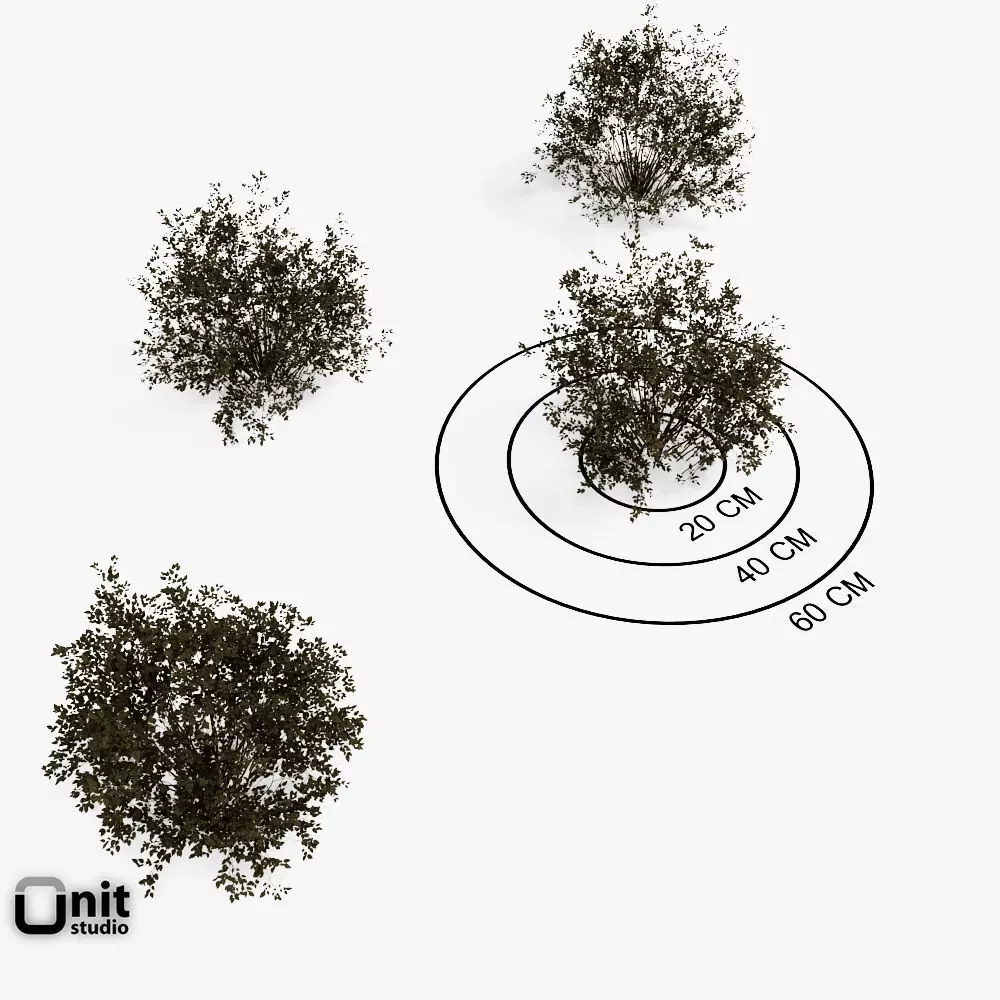 Bushes Collection - Set bush 3D model_0