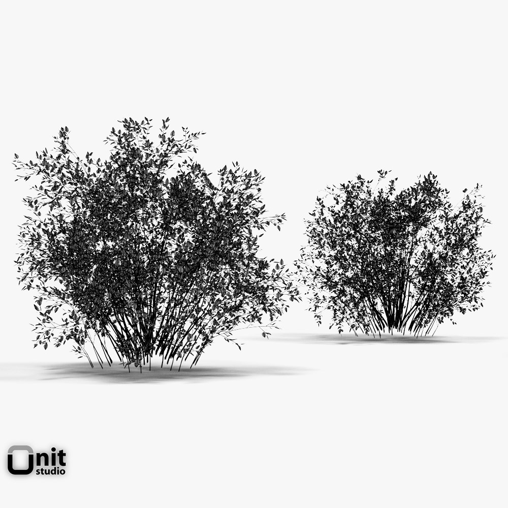 Bushes Collection - Set bush 3D model_5