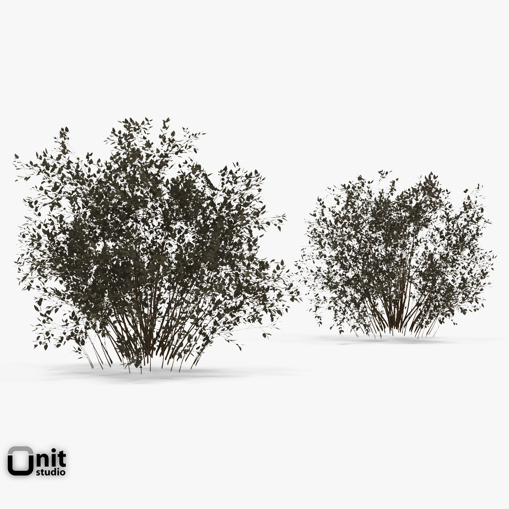 Bushes Collection - Set bush 3D model_1