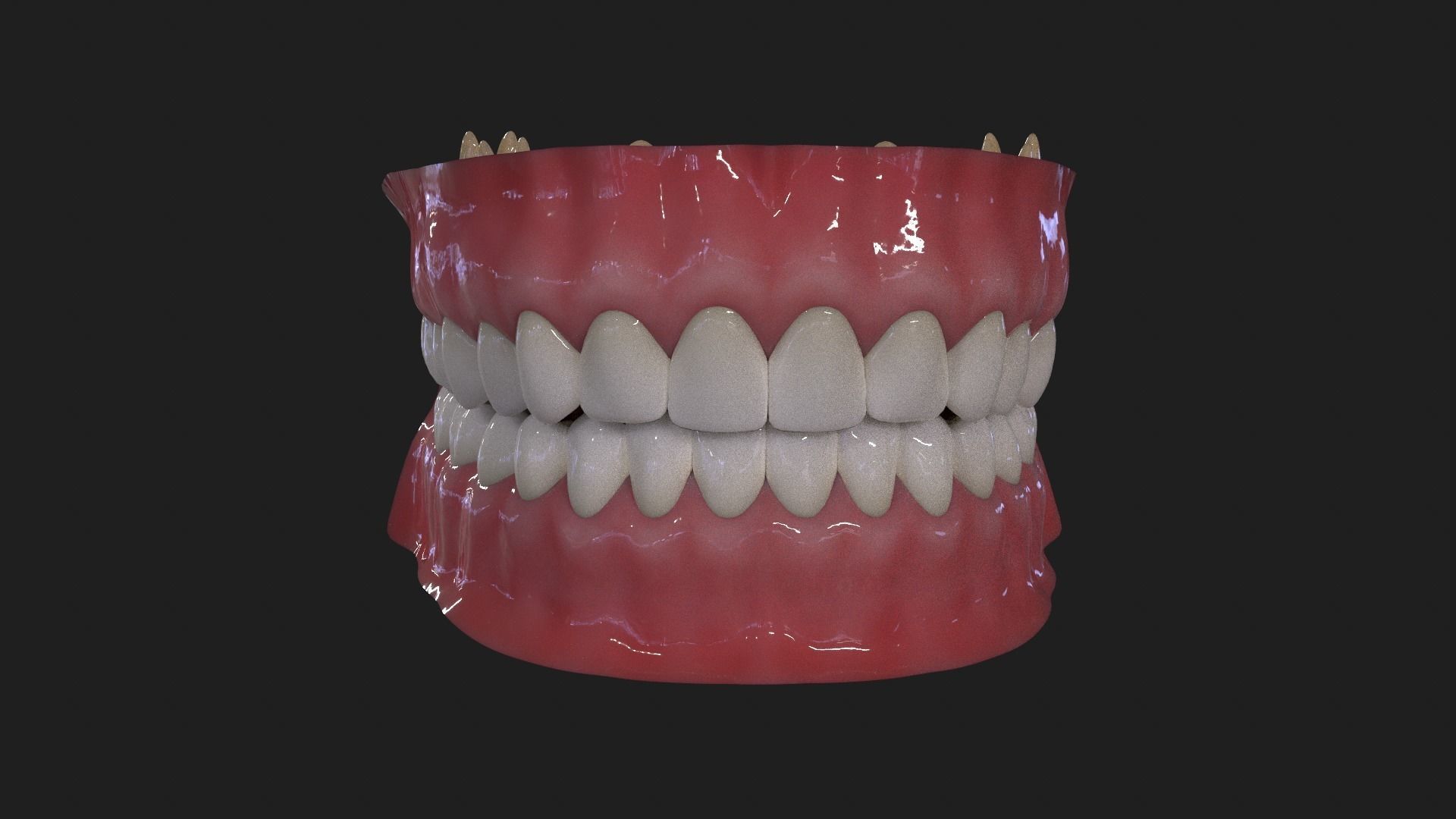 Mouth dental and tounge Low-poly 3D model_6