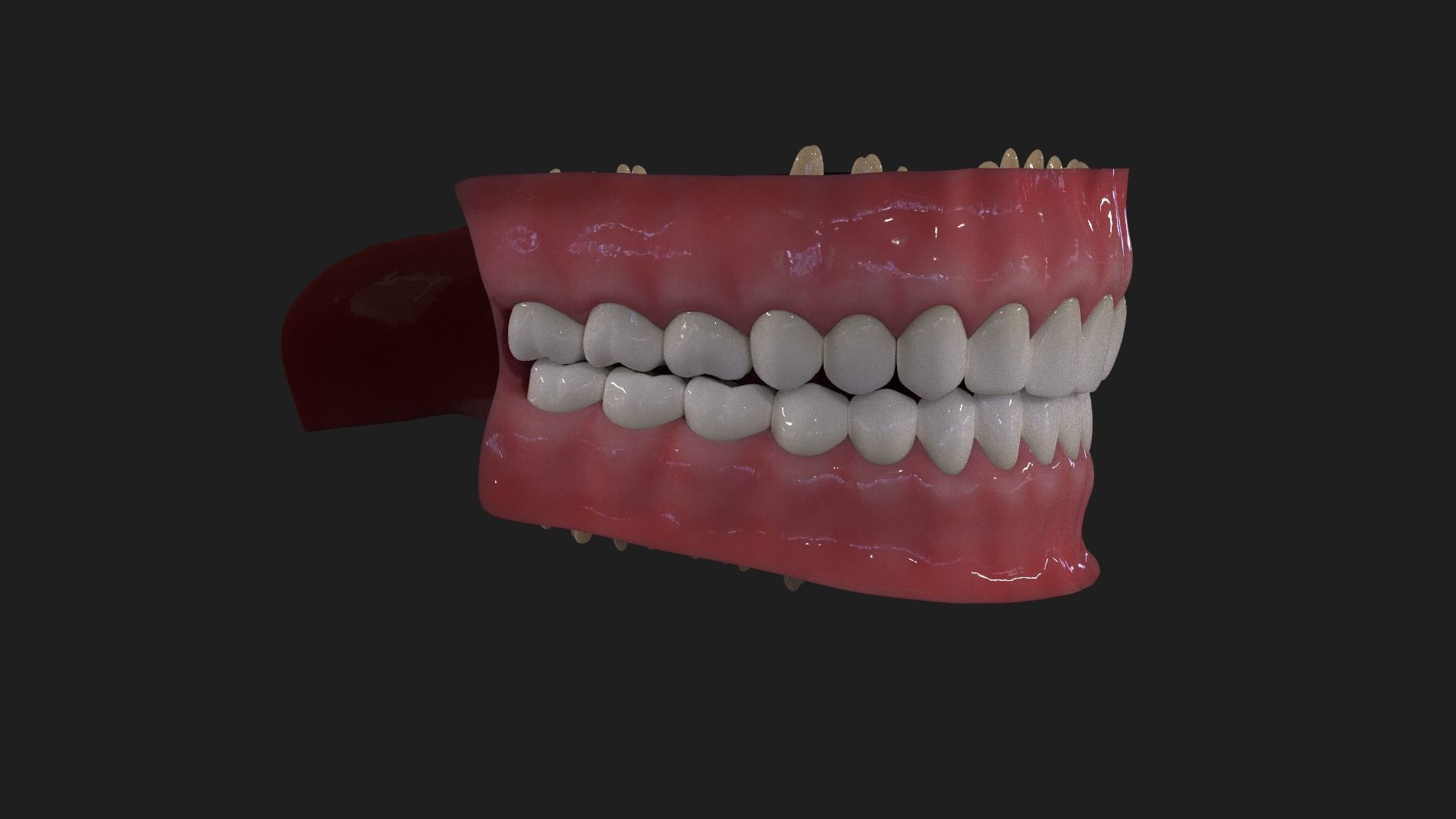 Mouth dental and tounge Low-poly 3D model_7