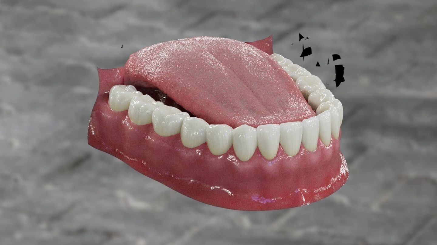 Mouth dental and tounge Low-poly 3D model_1