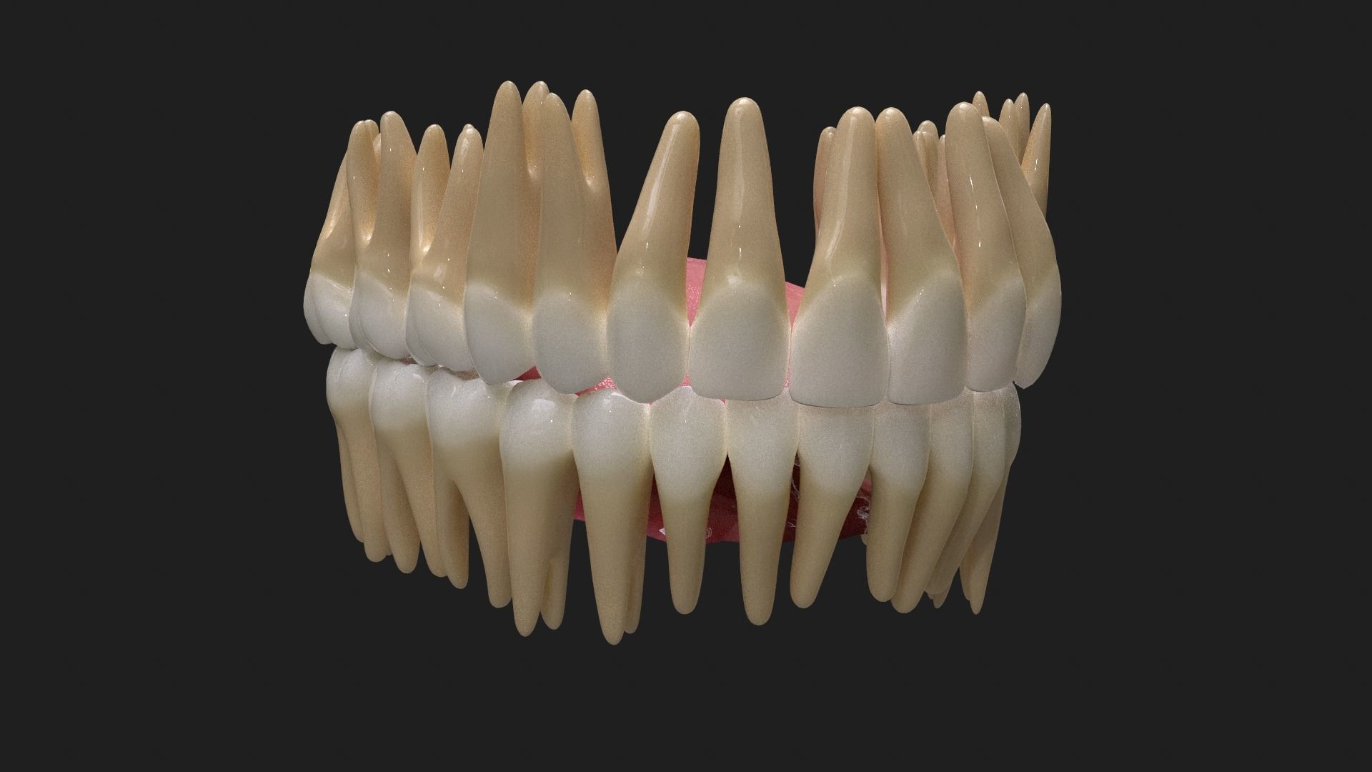 Mouth dental and tounge Low-poly 3D model_3