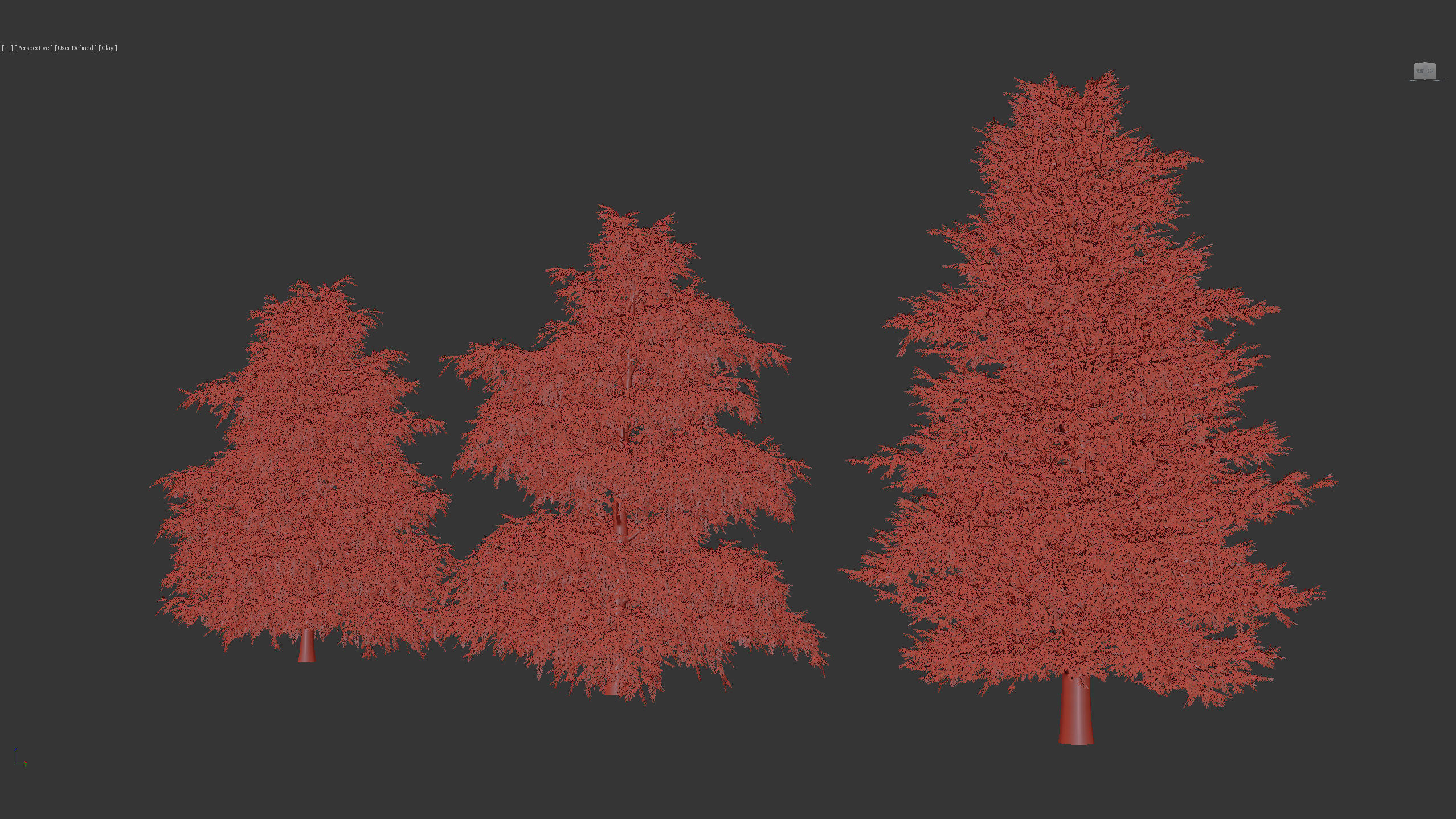 Tsuga canadensis Eastern hemlock 3D model_7