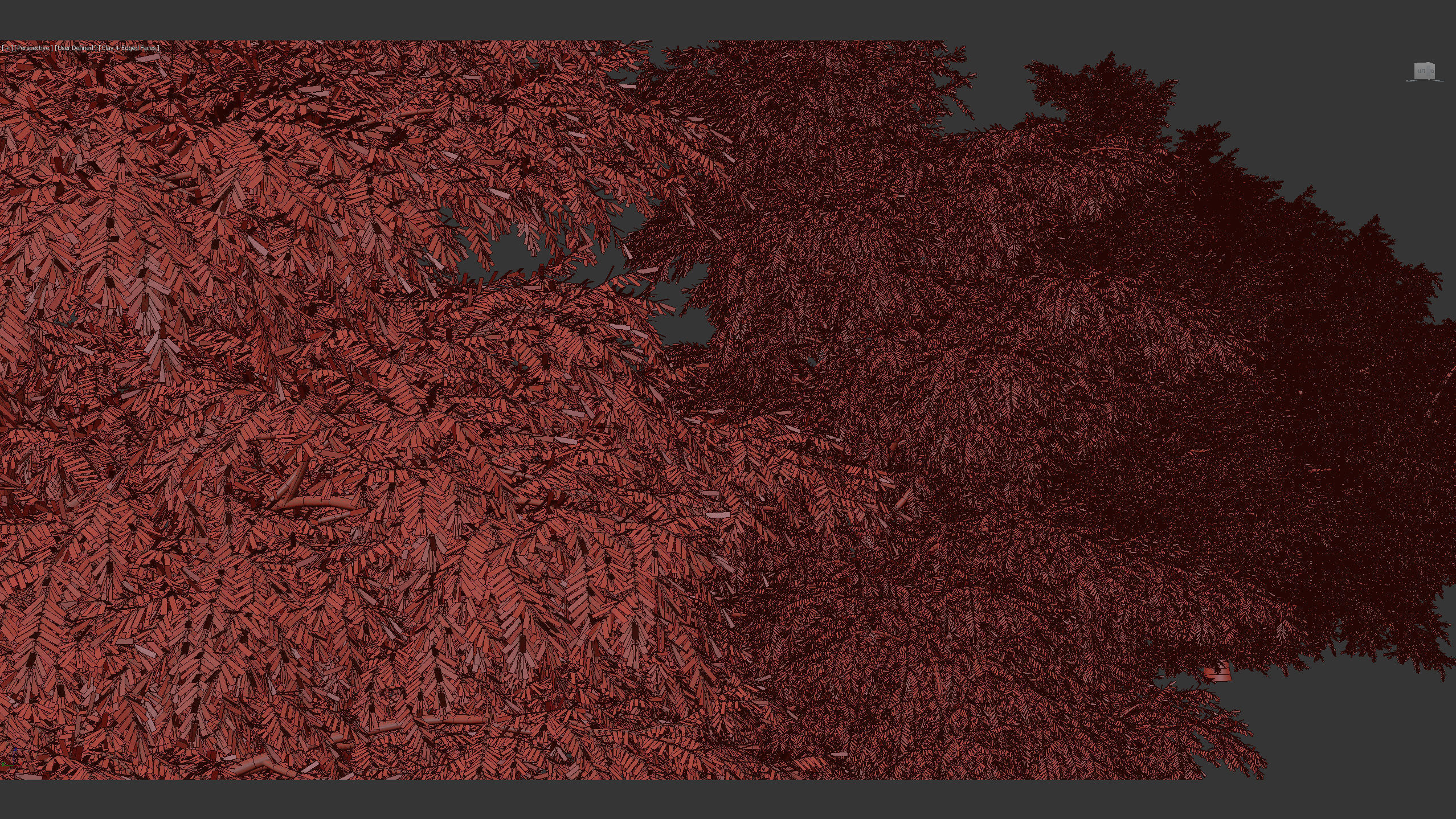 Tsuga canadensis Eastern hemlock 3D model_13