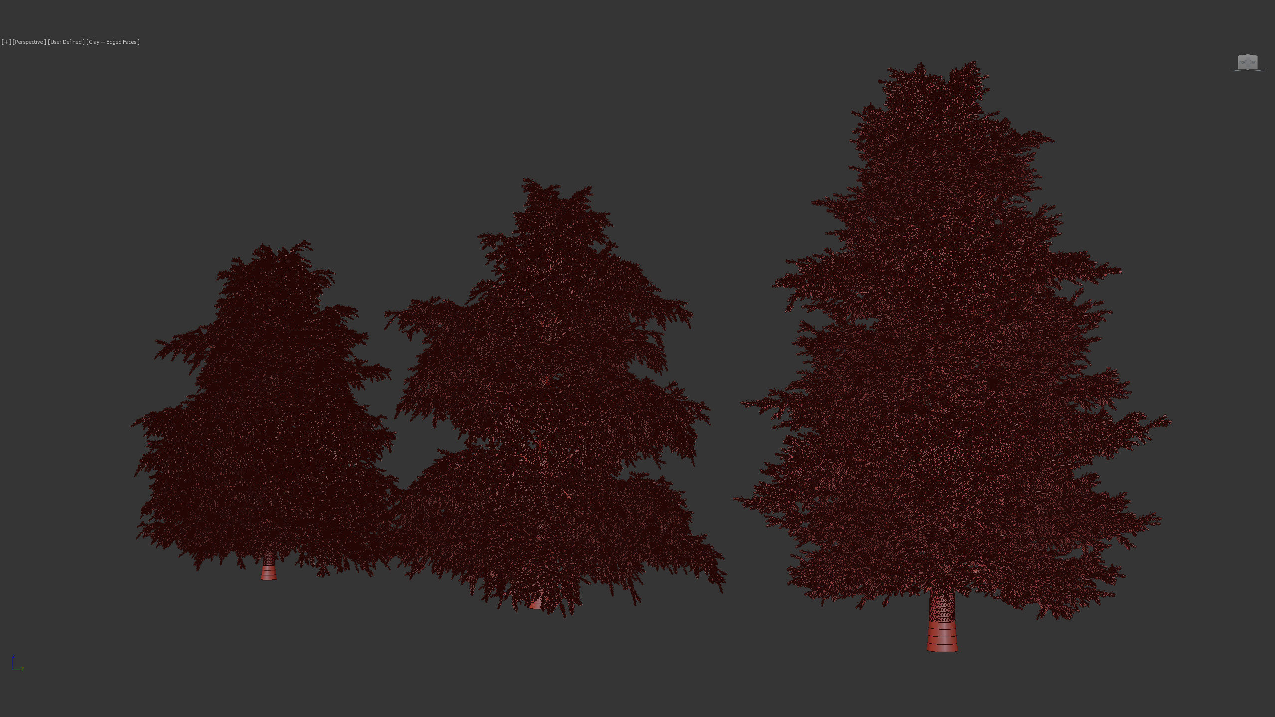 Tsuga canadensis Eastern hemlock 3D model_8
