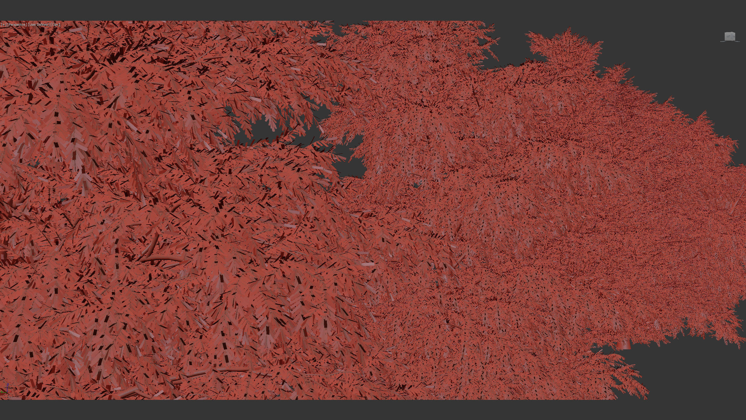 Tsuga canadensis Eastern hemlock 3D model_11