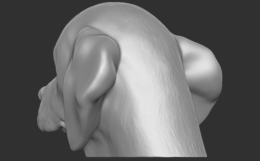 Puppy of Beagle dog head for 3D printing 3D print model_15