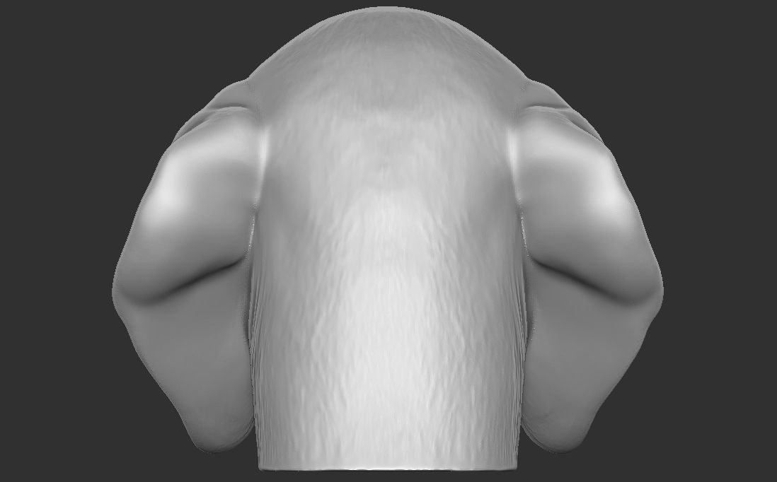 Puppy of Beagle dog head for 3D printing 3D print model_13