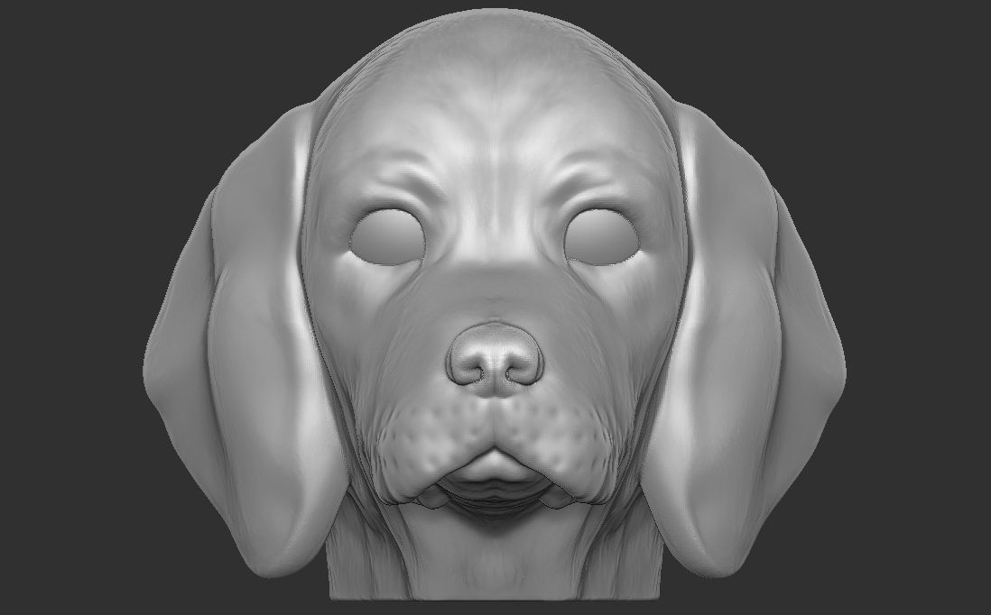 Puppy of Beagle dog head for 3D printing 3D print model_7