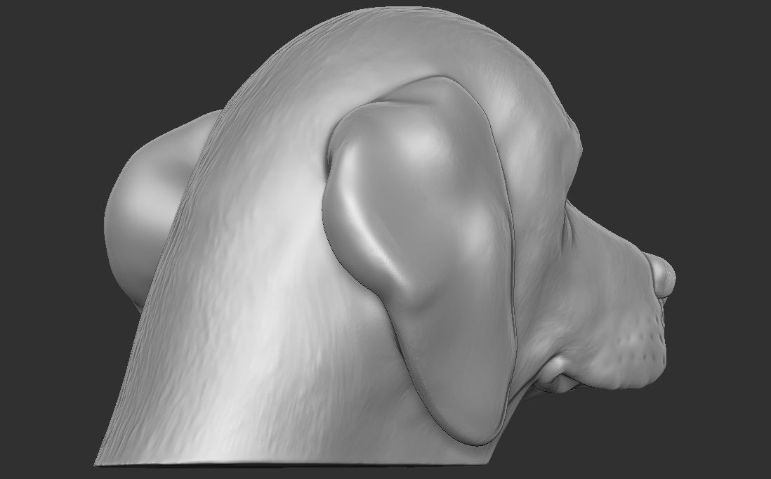 Puppy of Beagle dog head for 3D printing 3D print model_12