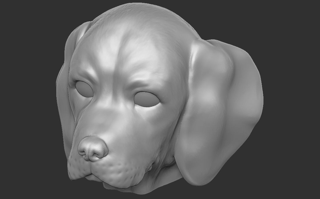 Puppy of Beagle dog head for 3D printing 3D print model_24