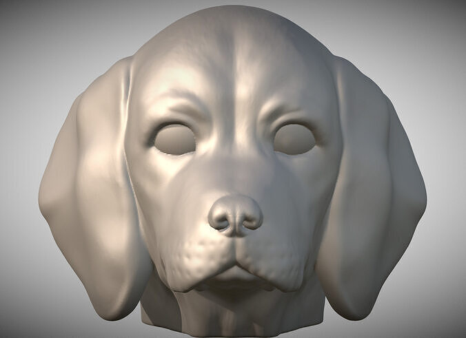 Puppy of Beagle dog head for 3D printing  3D print model