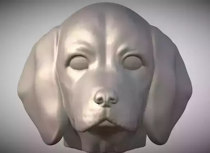 Puppy of Beagle dog head for 3D printing  3D print model